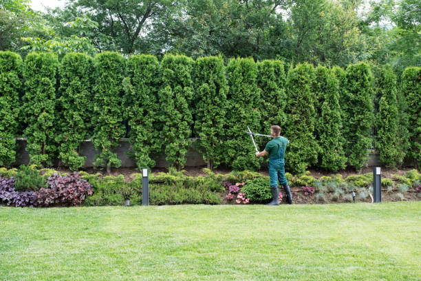 Best Tree Preservation Services  in Princeton, NJ